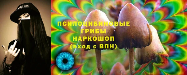 марки nbome Богородицк